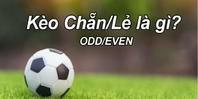 Kèo chẵn lẻ hi88